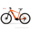 Bicicletta elettrica a medio motore e mid -motor personalizzato in bicicletta elettrica